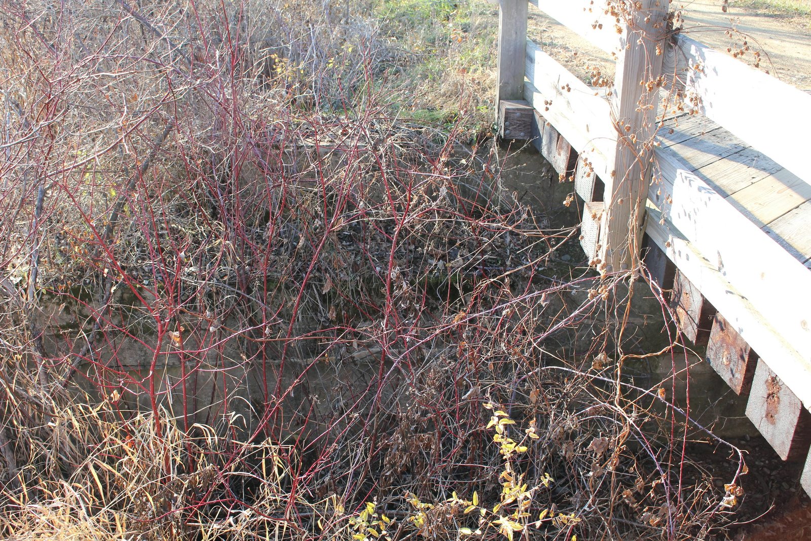 West abutment